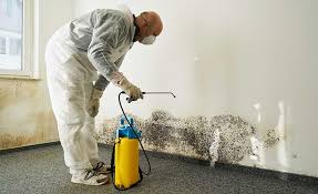 Best Mold Removal for HVAC Installations  in Glen Ellen, CA