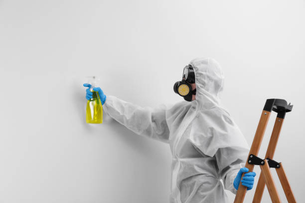 Best Emergency Mold Remediation  in Glen Ellen, CA