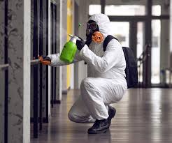 Professional Mold Removal & Remediation in Glen Ellen, CA